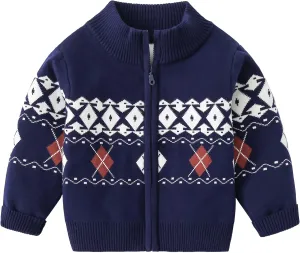 Baby Boys Girls Button Up Cardigan Sweater Dinosaur Full-Zip Long Sleeve V Neck Cartoon Embroidery Coat