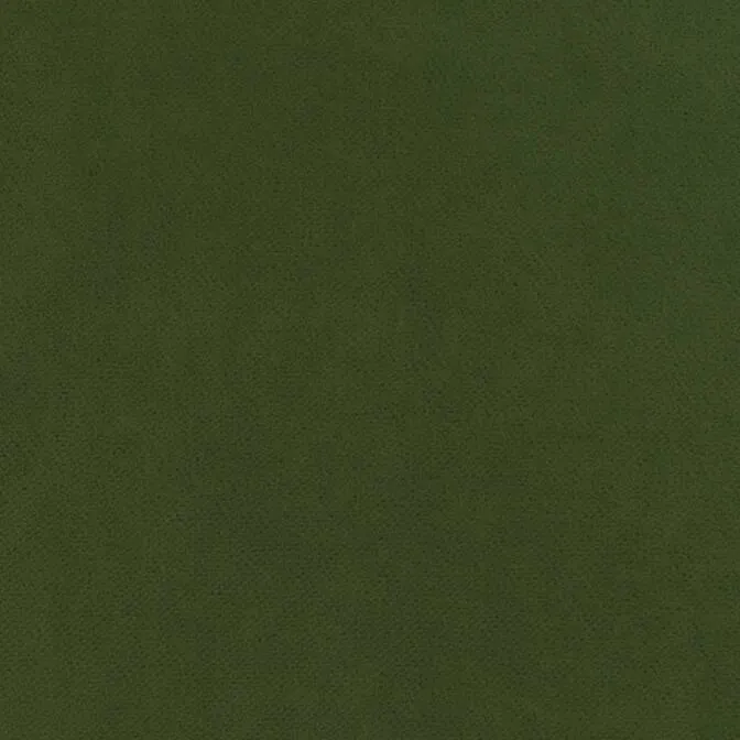 Belmont Fabric Swatch